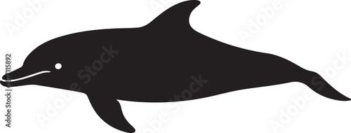 Common Dolphin Silhouette on White Background
