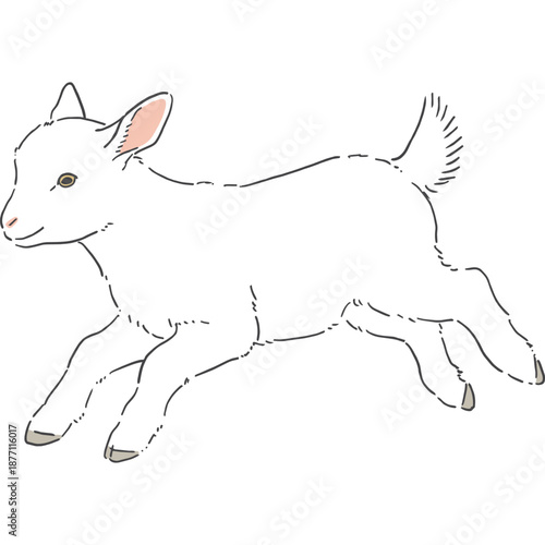 かわいい白いヤギの手書きイラスト