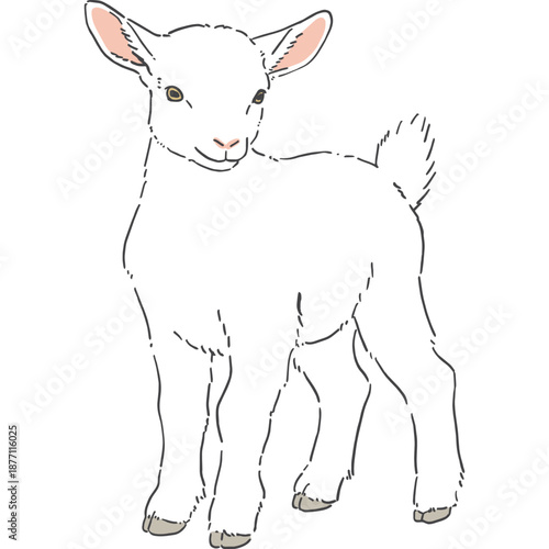 かわいい白いヤギの手書きイラスト
