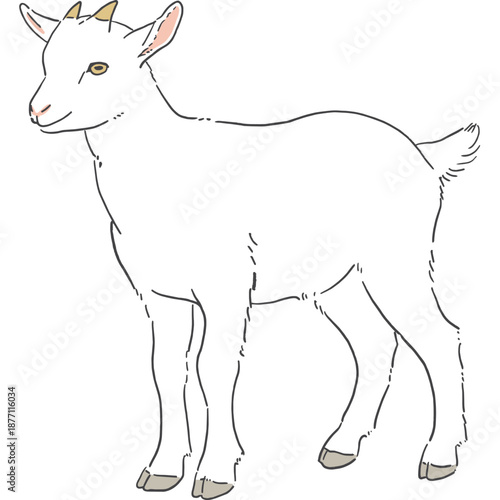 かわいい白いヤギの手書きイラスト