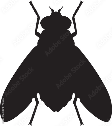 deer fly, insect, biting fly, wildlife insect, pest, insect silhouette
