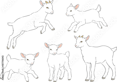 かわいい白いヤギの手書きイラストセット