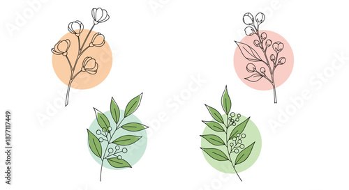 A set of four minimalist botanical illustrations featuring line art branches and flower buds over soft pastel-colored circles.