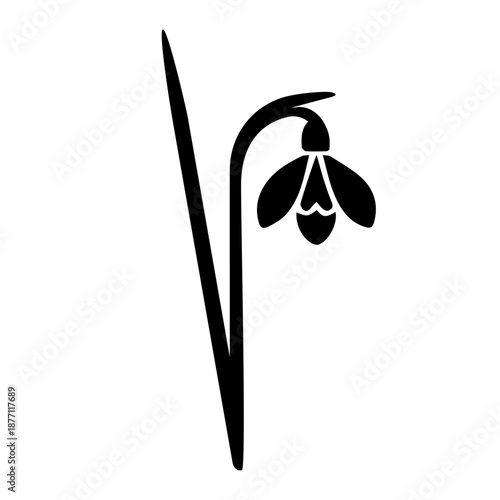 Snowdrops are similar to a QR code barcode code. Spring, Valentine's Day