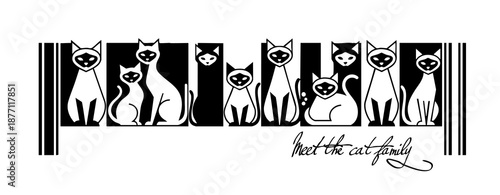 Cats, Siamese cats are like a QR code, a barcode