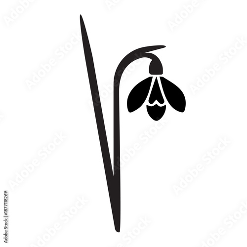 Snowdrops are similar to a QR code barcode code. Spring, Valentine's Day