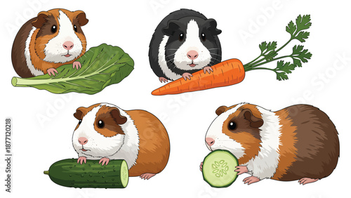 Set of cute cartoon guinea pigs with healthy vegetables: lettuce, carrot, and cucumber illustration