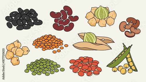 An assortment of various legumes and beans, including black beans, kidney beans, chickpeas, lentils, and peas, displayed in separate piles.
