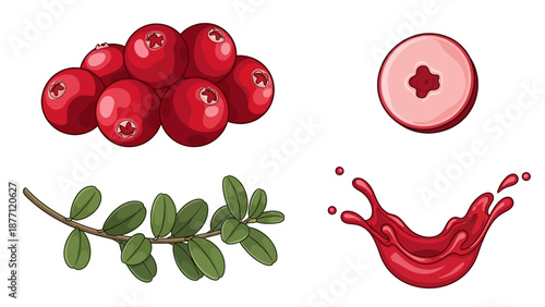 Vibrant cranberries and leaves with juice splash, illustration of harvest scene from above