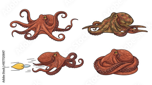 Octopuses depicted in various poses and actions, showcasing their tentacles and camouflage abilities, illustration, neutral background, top view