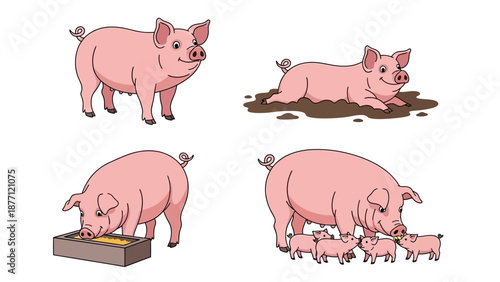 Pigs in various actions standing, rolling, eating, and nursing piglets in different scenes