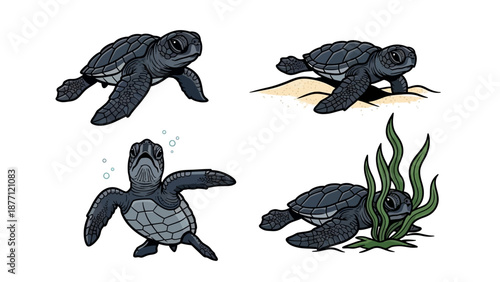 Illustrations of sea turtles swimming and resting in various ocean environments and viewpoints