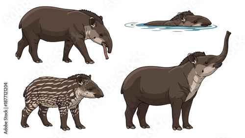 Animals walking and swimming in various environments, showcasing different species from different viewpoints