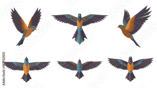 Bird Flying Animation Set: Multiple Angles and Poses