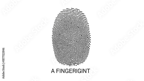 Black Fingerprint on White Background