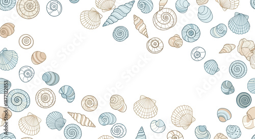 A delicate background frame of assorted hand-drawn seashells in blue and beige, with a large empty space in the center.