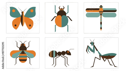 Collection of Flat Design Insects: Butterfly, Beetle, Dragonfly, Bee, Ant, Praying Mantis