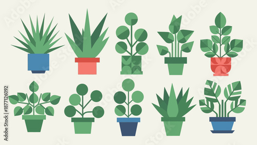 Set of stylized potted houseplants, flat design, green tones