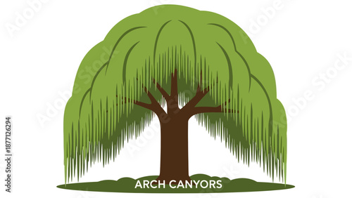 Stylized Weeping Willow Tree Illustration with "Arch Canyors" Text