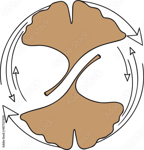 A symmetrical vector illustration featuring two brown, fan-shaped ginkgo leaves joined at the stem, enclosed by circular recycling arrows. It symbolizes organic decomposition and natural renewal.