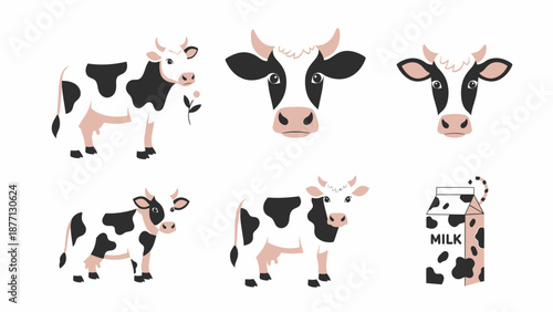 Cute Cartoon Holstein Cow Characters & Milk Carton Vector Illustrations Set on White