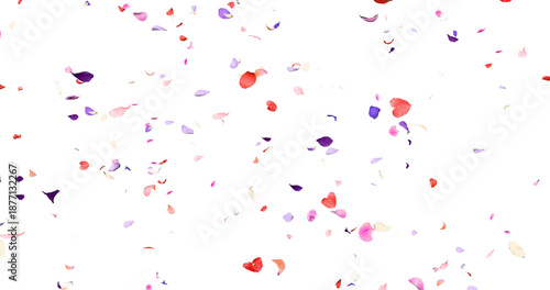 Colorful flower petals sway in the wind. Isolated on alpha background. 3D rendering.