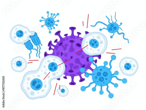 Microscopic view of viruses attacking human cells and immune response.