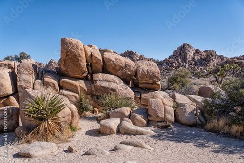 Bilde på lerret A rocky desert landscape with a lone cactus in the foreground
