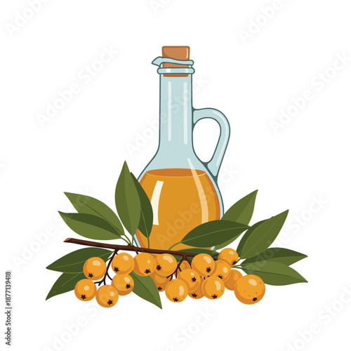 Detailed illustration of a branch of sea buckthorn berries next to a glass bottle of golden herbal oil isolated on a white background.