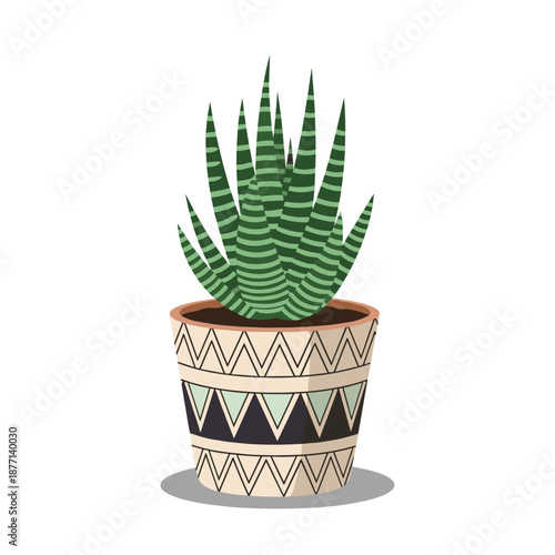 Zebra plant Haworthia in a decorative ceramic pot with tribal patterns isolated for home interior design inspiration.