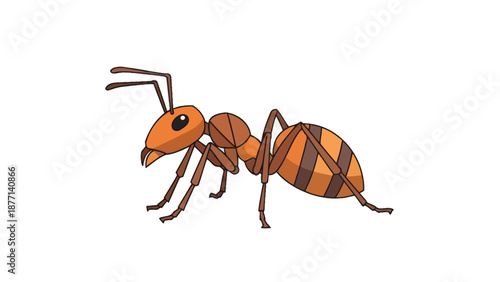 Cartoon Ant Illustration on White Background