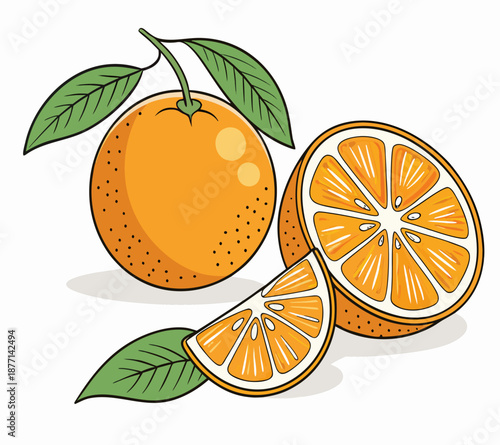 Fresh Orange Fruit Vector Illustration with Leaf and Slice