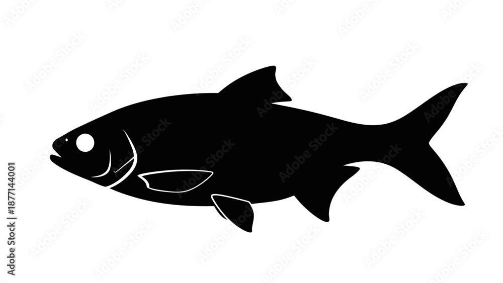 Obraz premium Adobe Illustrator Artwork