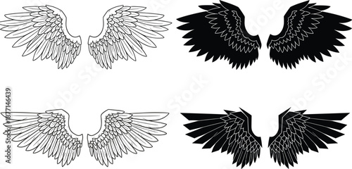 Angel wings illustration collection with detailed feathers, black and white styles, symmetrical flying wing designs vector set