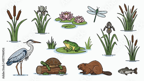 Illustration of wetland ecosystem featuring plants, animals, and insects in a serene aquatic environment from a bird's eye view