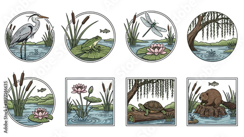 A collection of eight detailed illustrations depicting various wetland ecosystems with herons, frogs, dragonflies, turtles, beavers, and aquatic plants.