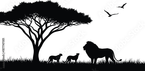 African savanna wildlife silhouette of lion family under acacia tree with flying birds black vector illustration isolated on white background