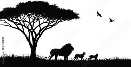 African savanna wildlife silhouette showing lion family walking under acacia tree with flying birds black vector illustration isolated on background