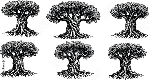 Detailed black-and-white tree illustrations with thick trunks and dense canopies, ideal for botanical art, nature design, or visual comparison activities.