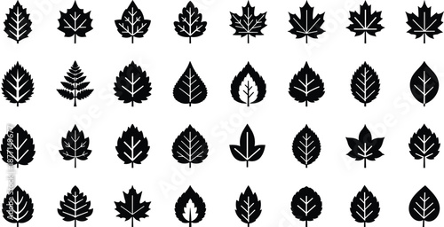 Silhouettes of 30 distinct leaf icons with varied shapes and vein patterns, ideal for botanical design, nature themes, or educational plant visuals.