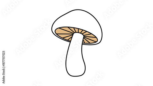 Simple artistic illustration of a wild mushroom with a brown underside and white cap shown from a side perspective view.