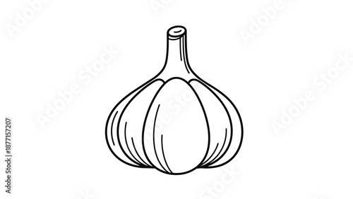 Detailed line art sketch of a head of garlic showing individual cloves and a short stem on a plain white background for cooking.
