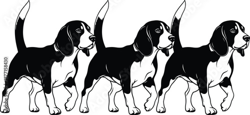Beagle dog walking sequence silhouette illustration showing playful hound movement isolated on white background for pet themed vector design