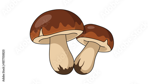 Colorful cartoon illustration of two brown boletus mushrooms with thick stalks standing side by side on a white background.