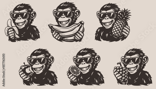 Set of funny monkey characters showing different emotions, hand drawn vector illustration, playful cartoon style for design and branding