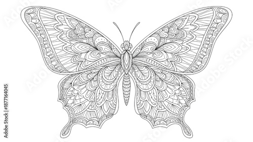 Detailed butterfly mandala for adult coloring book page, intricate black and white zentangle insect illustration, decorative line art vector.