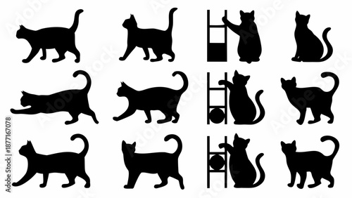Collection of black cat silhouettes in various playful poses
