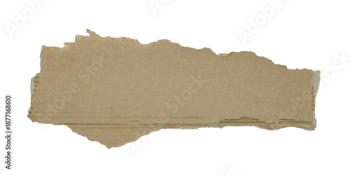 Wallpaper Mural Brown corrugated kraft paper torn into pieces in transparent background png Torontodigital.ca