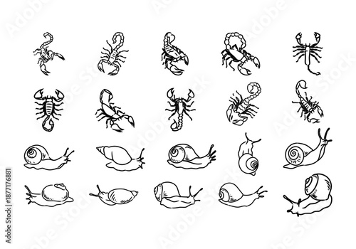 Abstract Line Scorpio And Snail