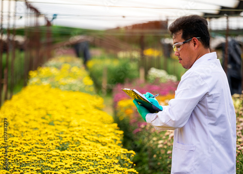 Wallpaper Mural Agricultural scientist in white coat with green gloves writing notes in clipboard while inspecting blooming yellow chrysanthemums in flower field. Concept of floriculture, plant science, smart farming Torontodigital.ca